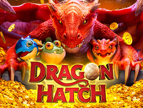 Get to know the Dragon Hatch